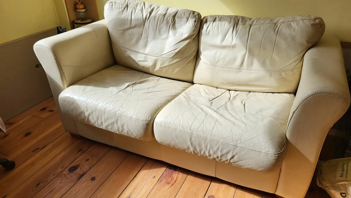 Leather Sofa Bed - 2 Seater - Image 1