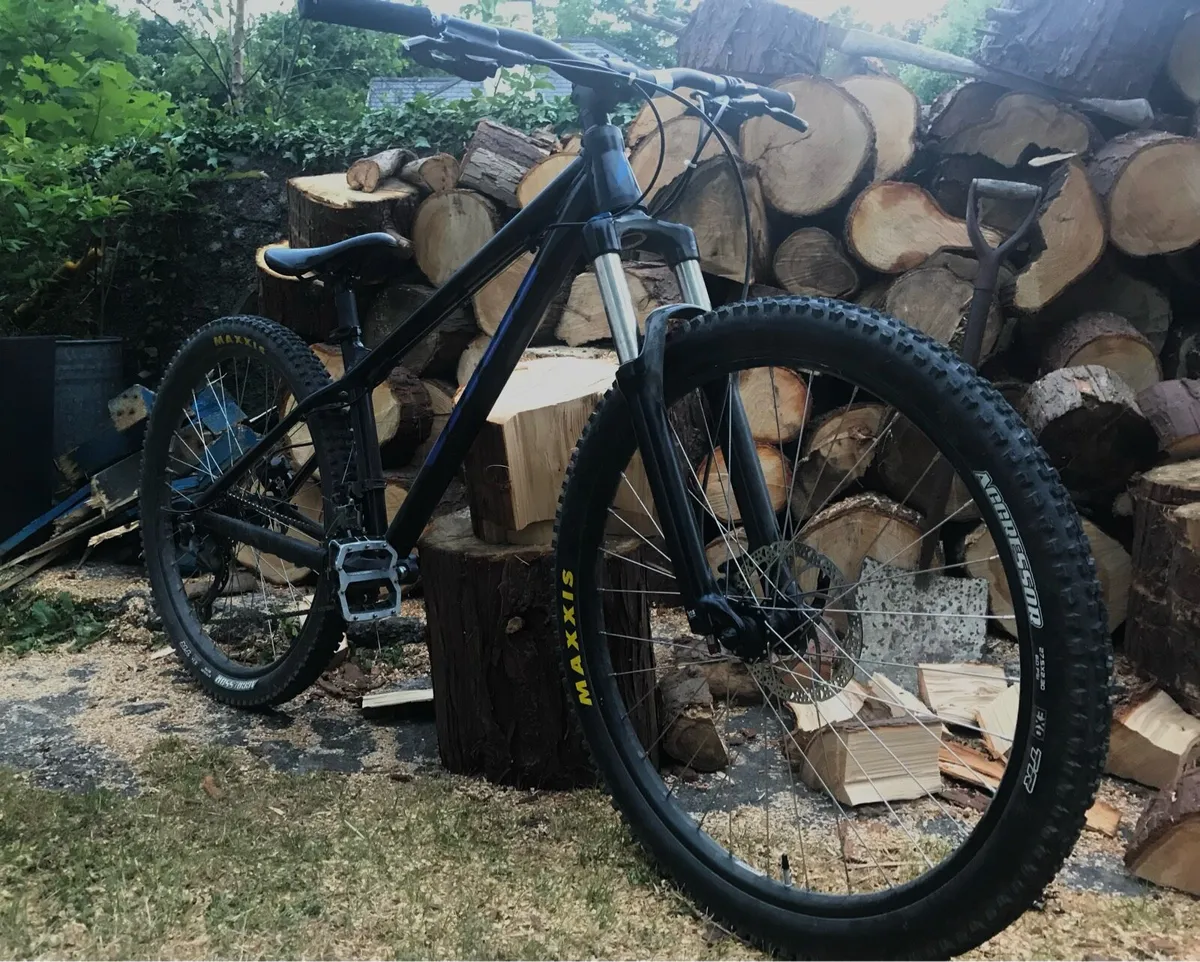 Vitus nucleus mountain bike - Image 1