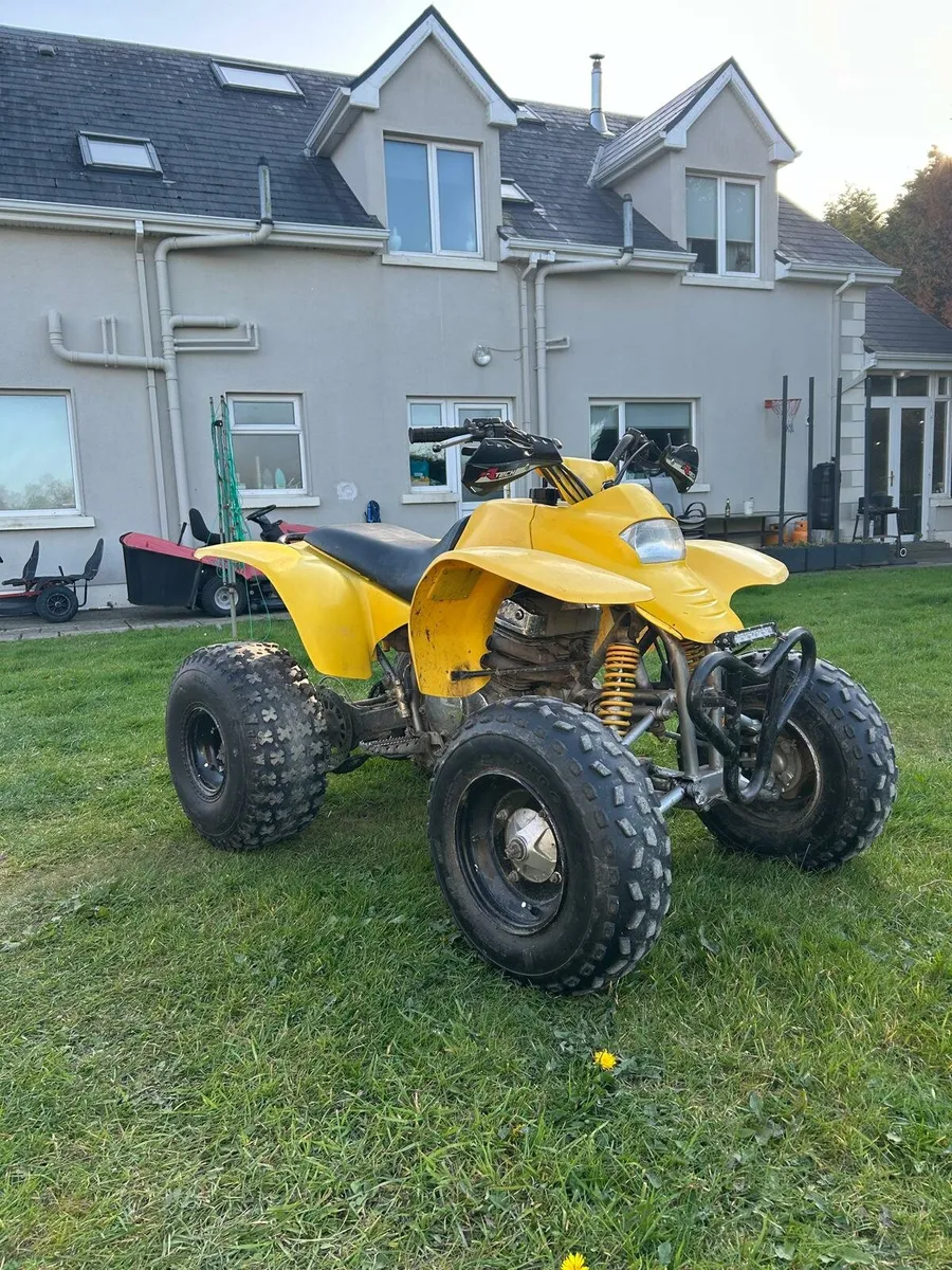 250cc stinger for sale - Image 2
