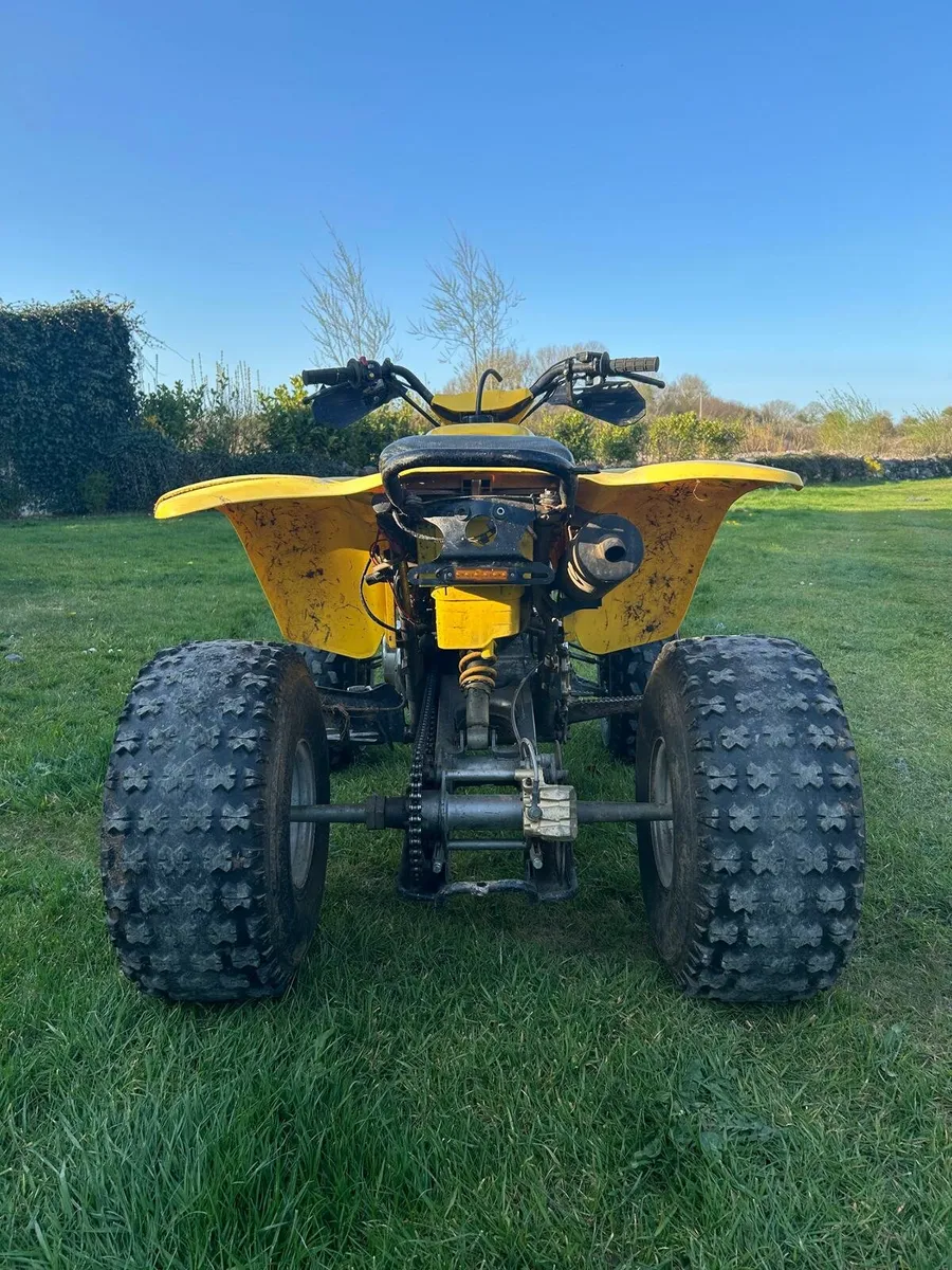 250cc stinger for sale - Image 3
