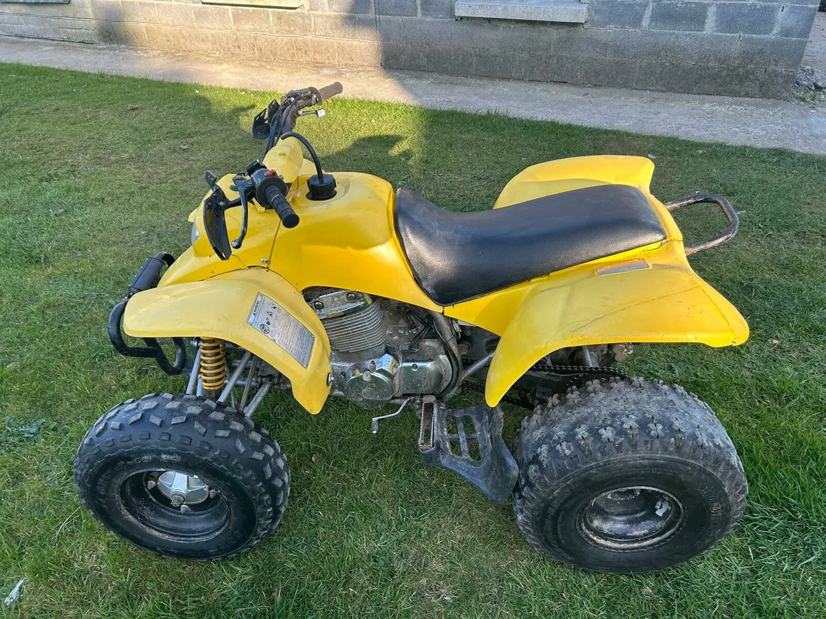 250cc stinger for sale - Image 4