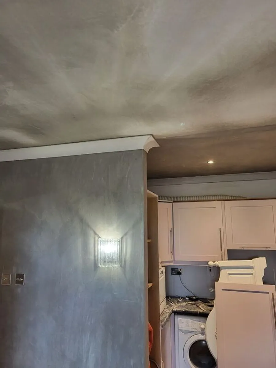 Plastering - Image 4