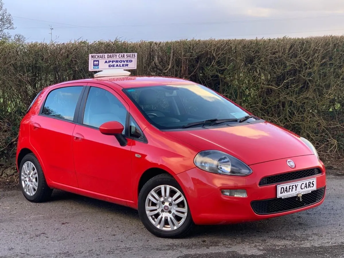 Fiat Punto 1.3 JTD 75cv Easy 4DR - Image 2