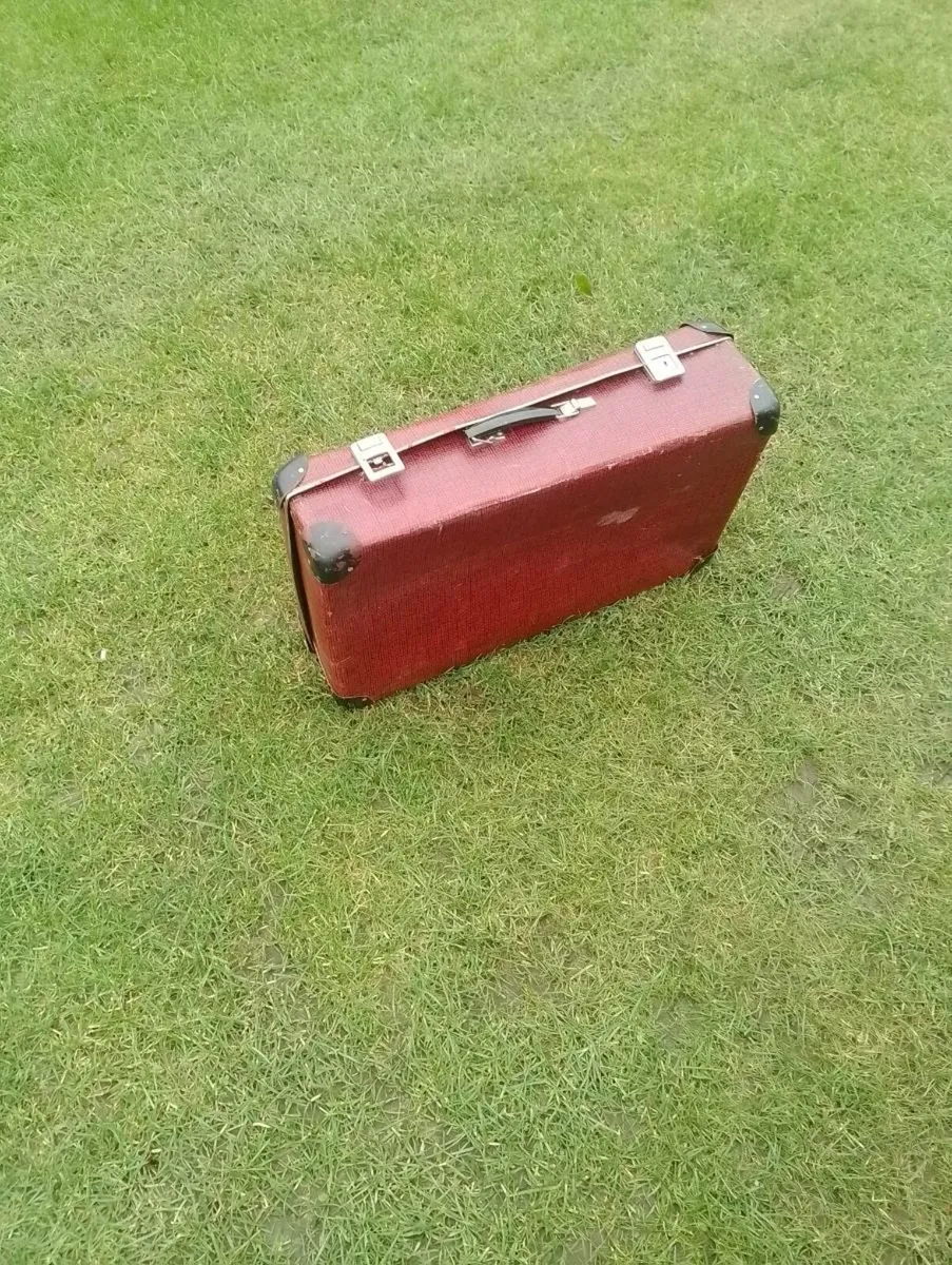 Vintage luggage - Image 1