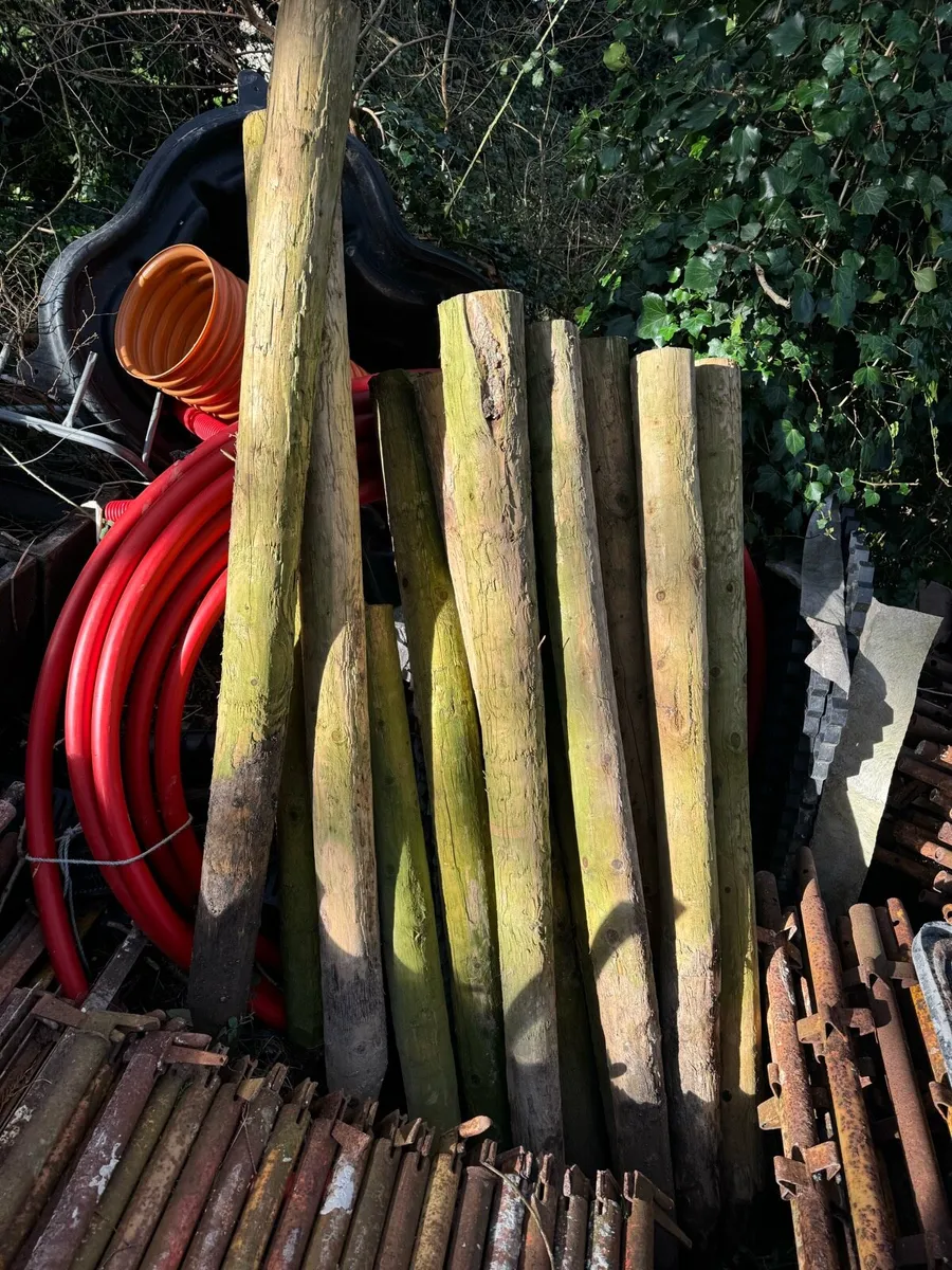 Heavy Duty Treated Wooden Stakes 5-6" wide - Image 1