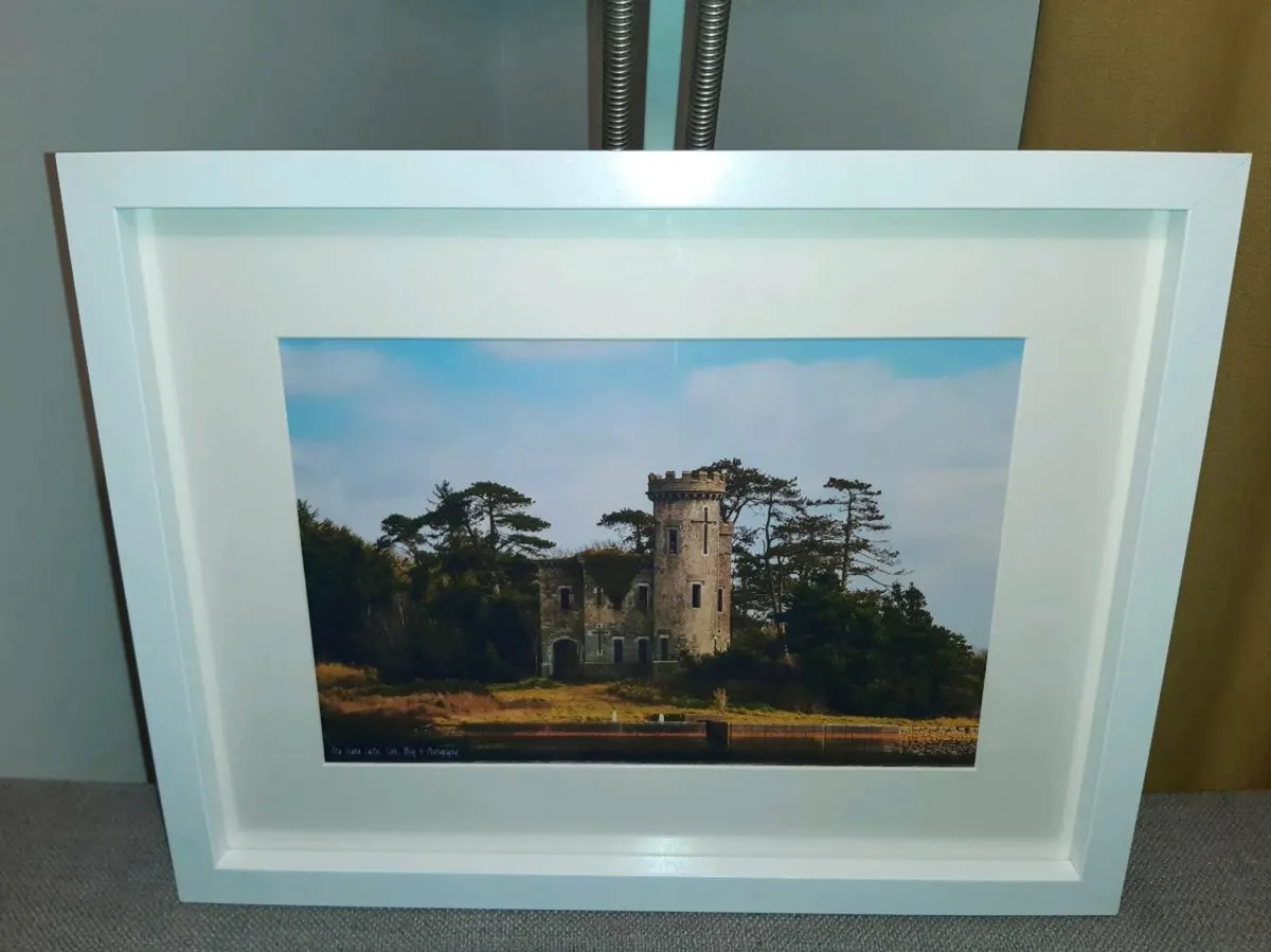 Fota Island Castle - Image 1