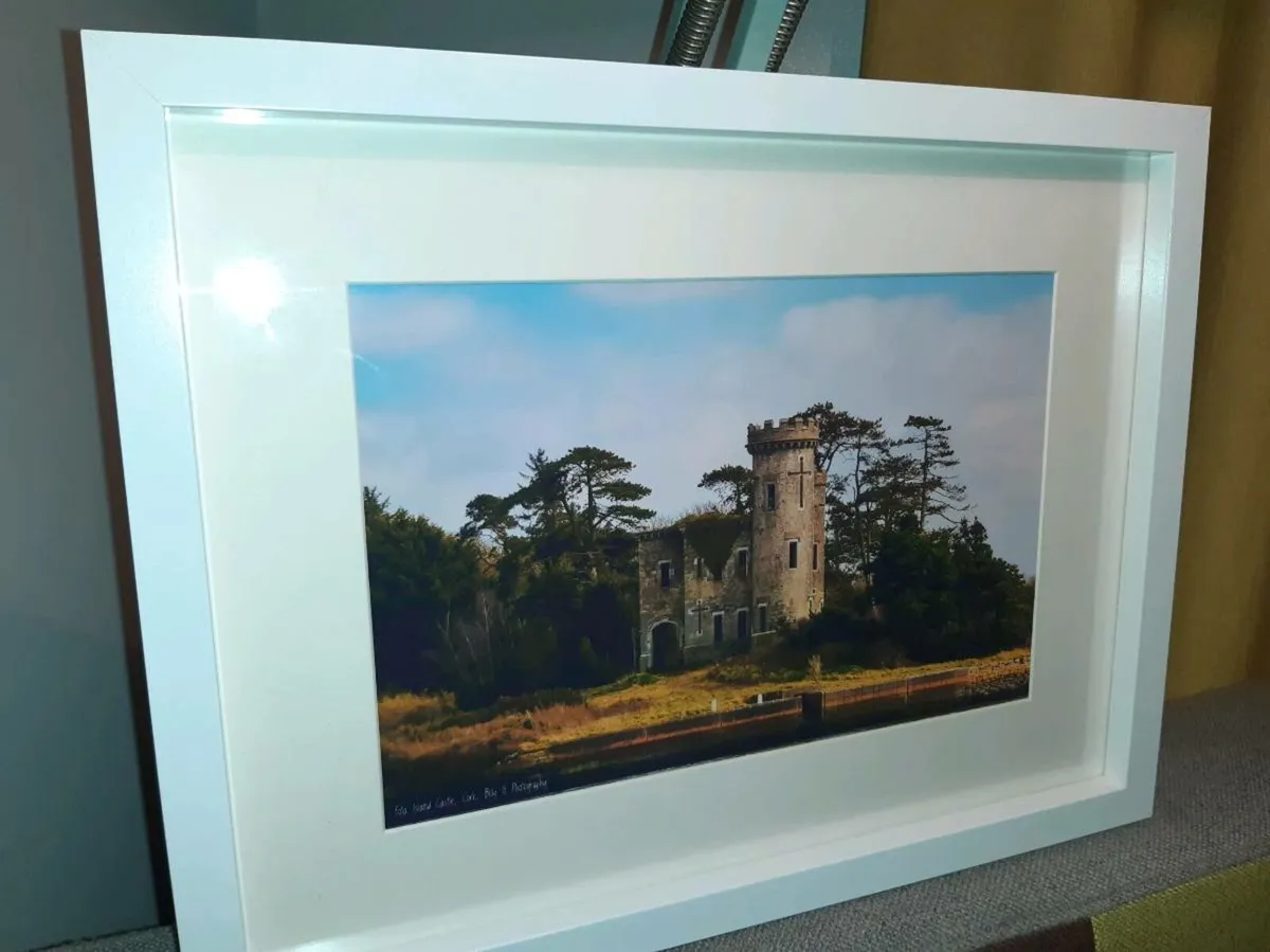 Fota Island Castle - Image 2