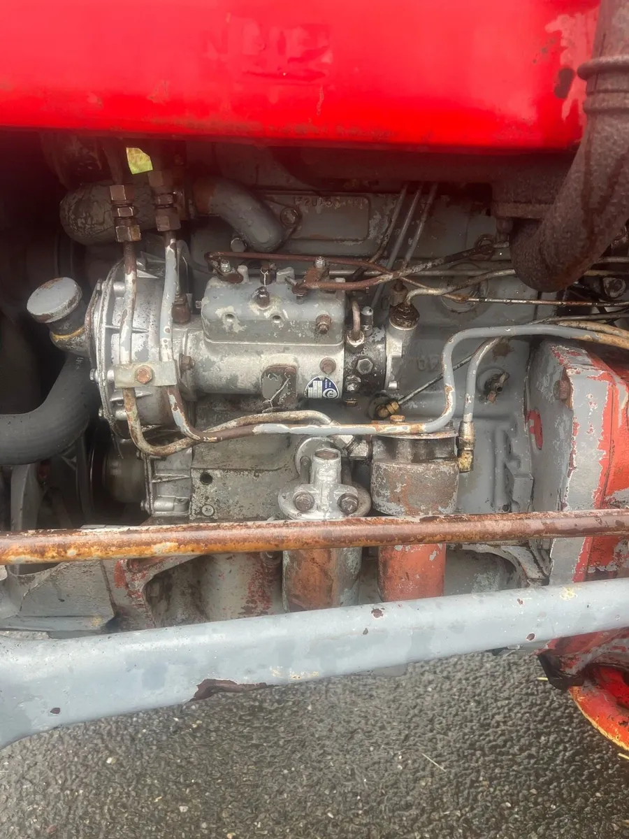 Massey Ferguson 135 Multipower 1966 - Image 4