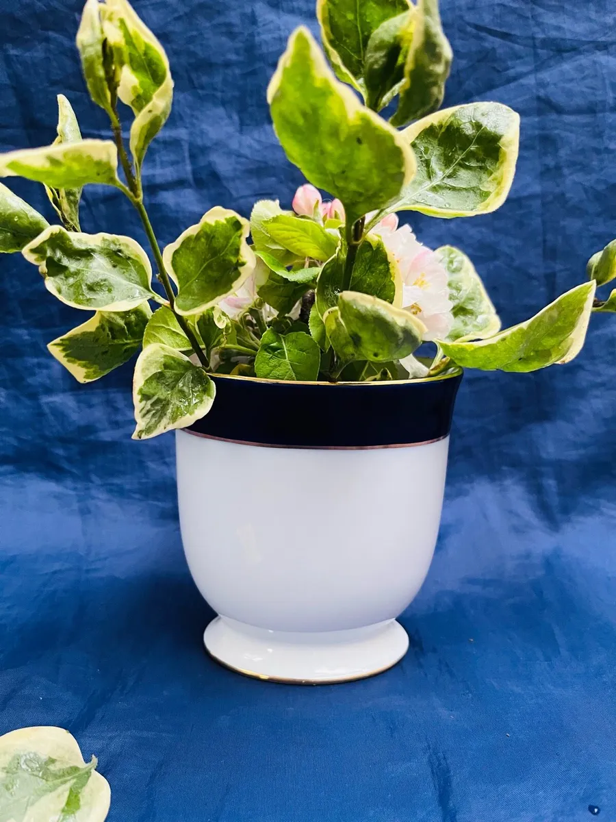 Arklow vase - Image 3