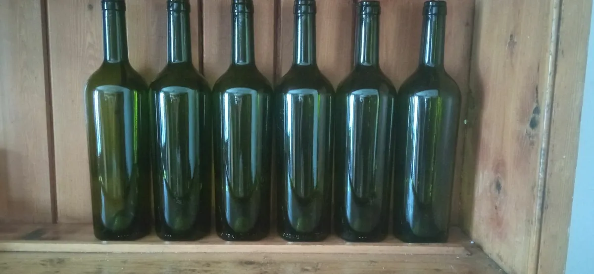 Home Brew Wine Bottles (Sets of 30) - Image 1