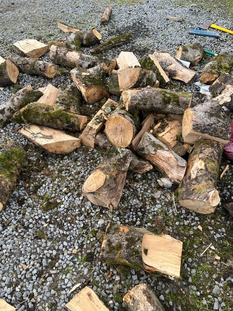 Bags of firewood - Image 2