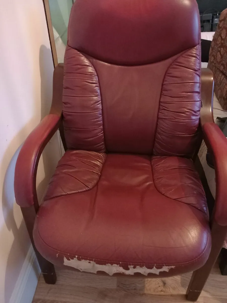 Orthopedic Armchair - Image 1