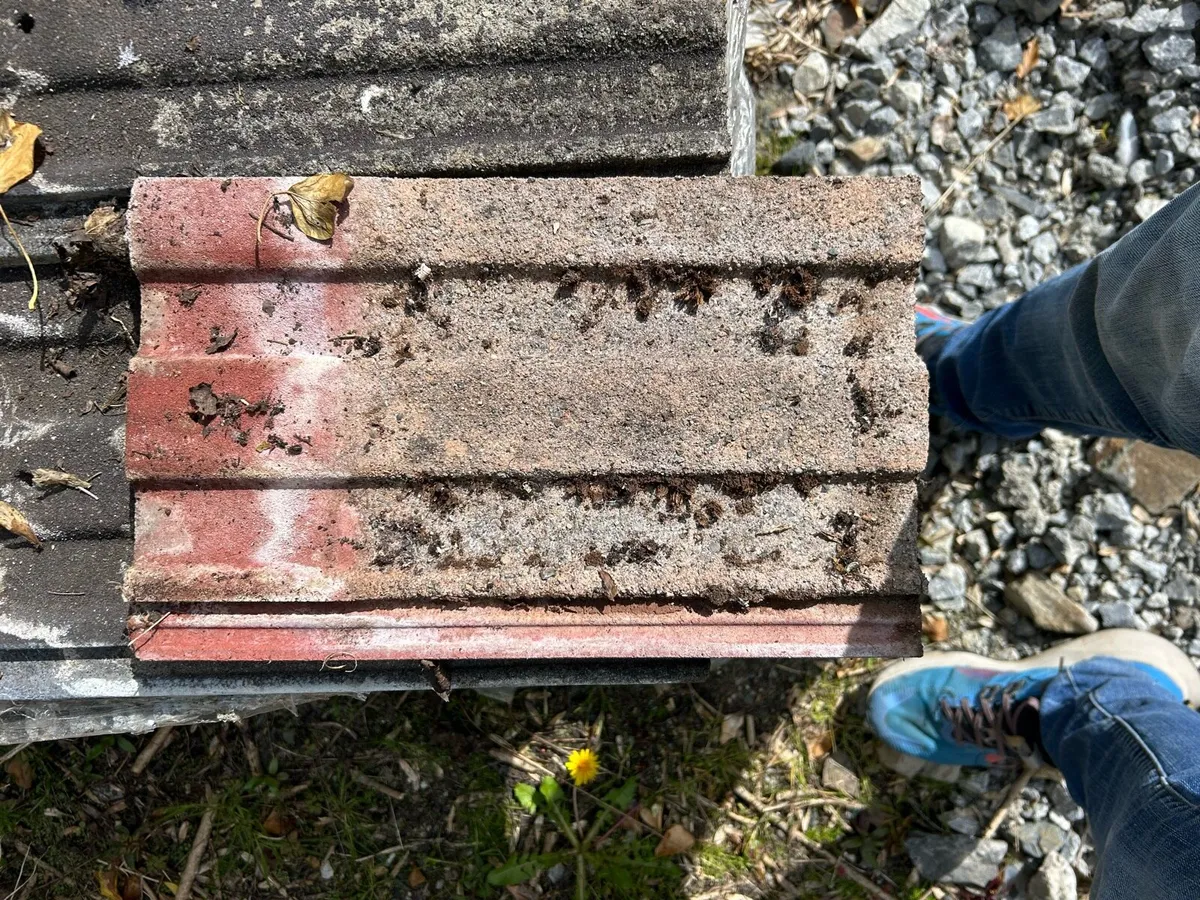 Red ban tile