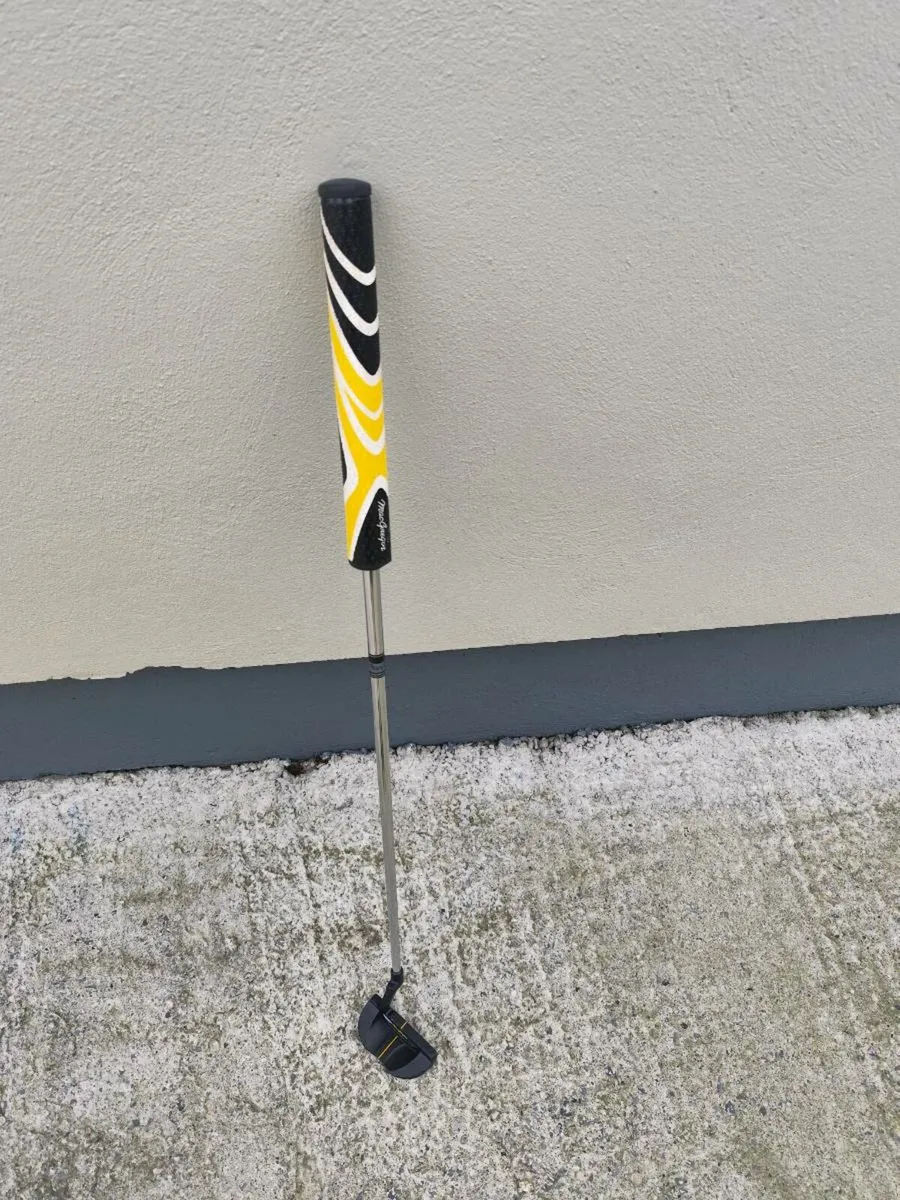 3 wood and putter McGregor - Image 1