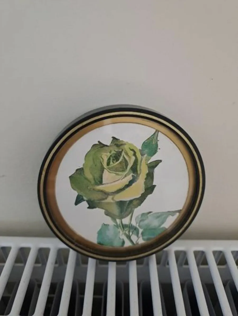 Collectable Nigel Pain - Image 1