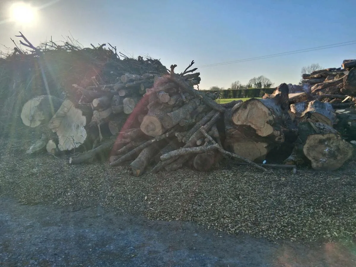 Timber/ Firewood - Image 3