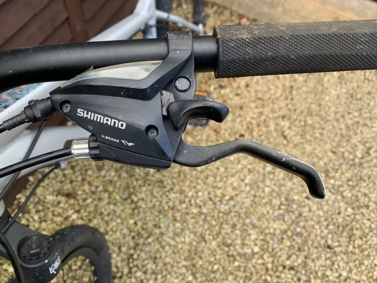 Bicycle - Image 3