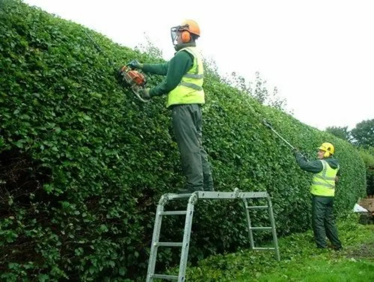 🏠Attention Homeowners🏠
Are your trees getting to - Image 3