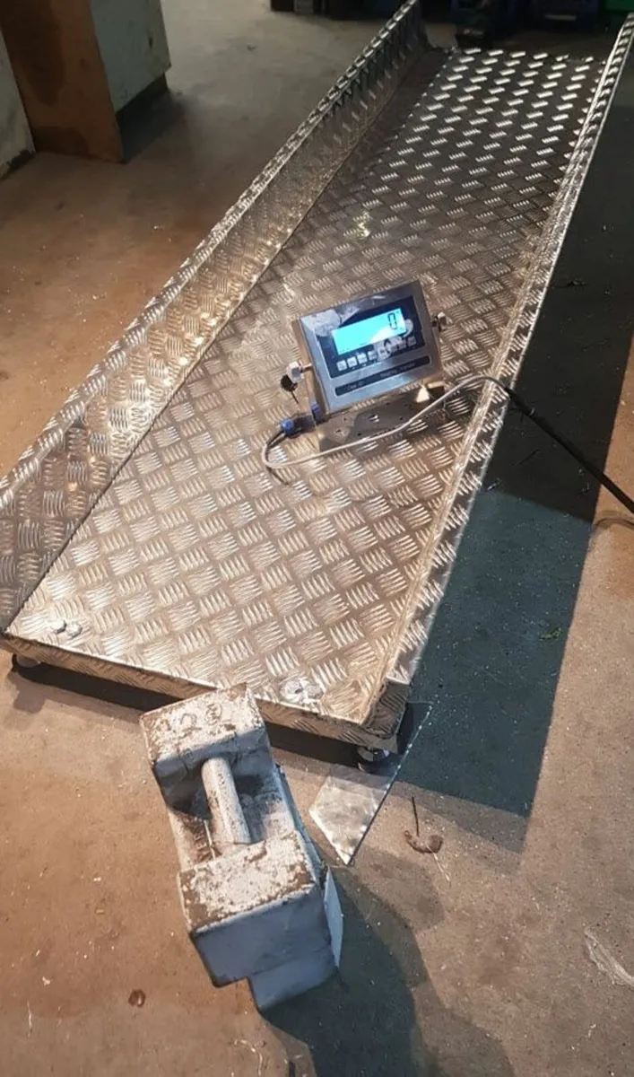 Scales Repair any brand - Image 3