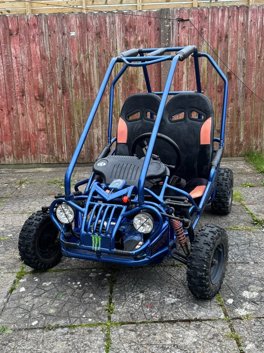 Buggy for sale - Image 2