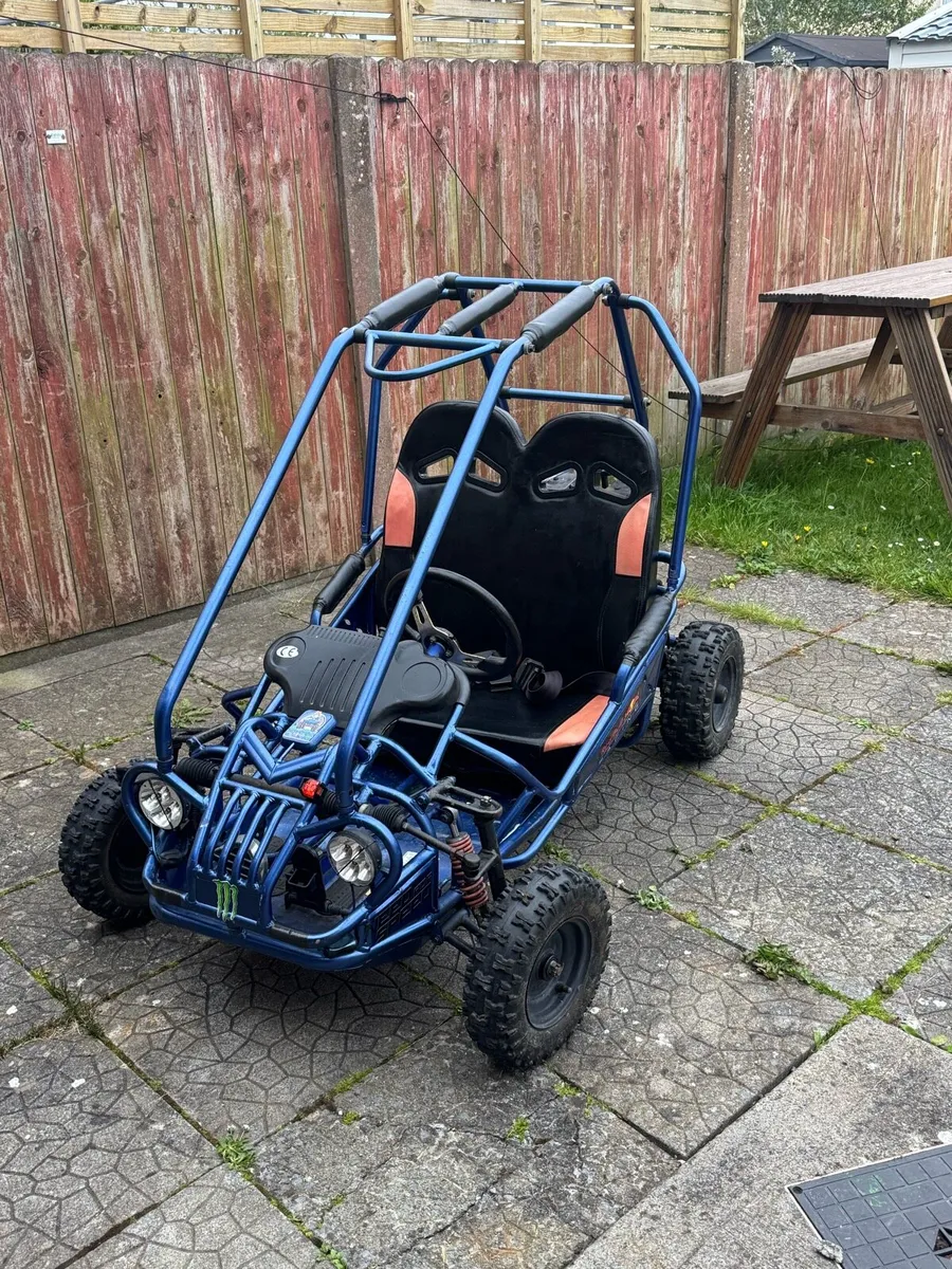 Buggy for sale - Image 3