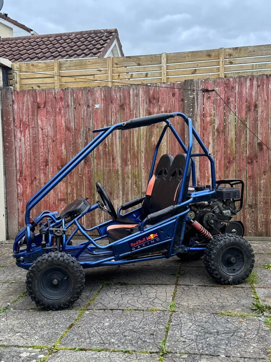 Buggy for sale - Image 4