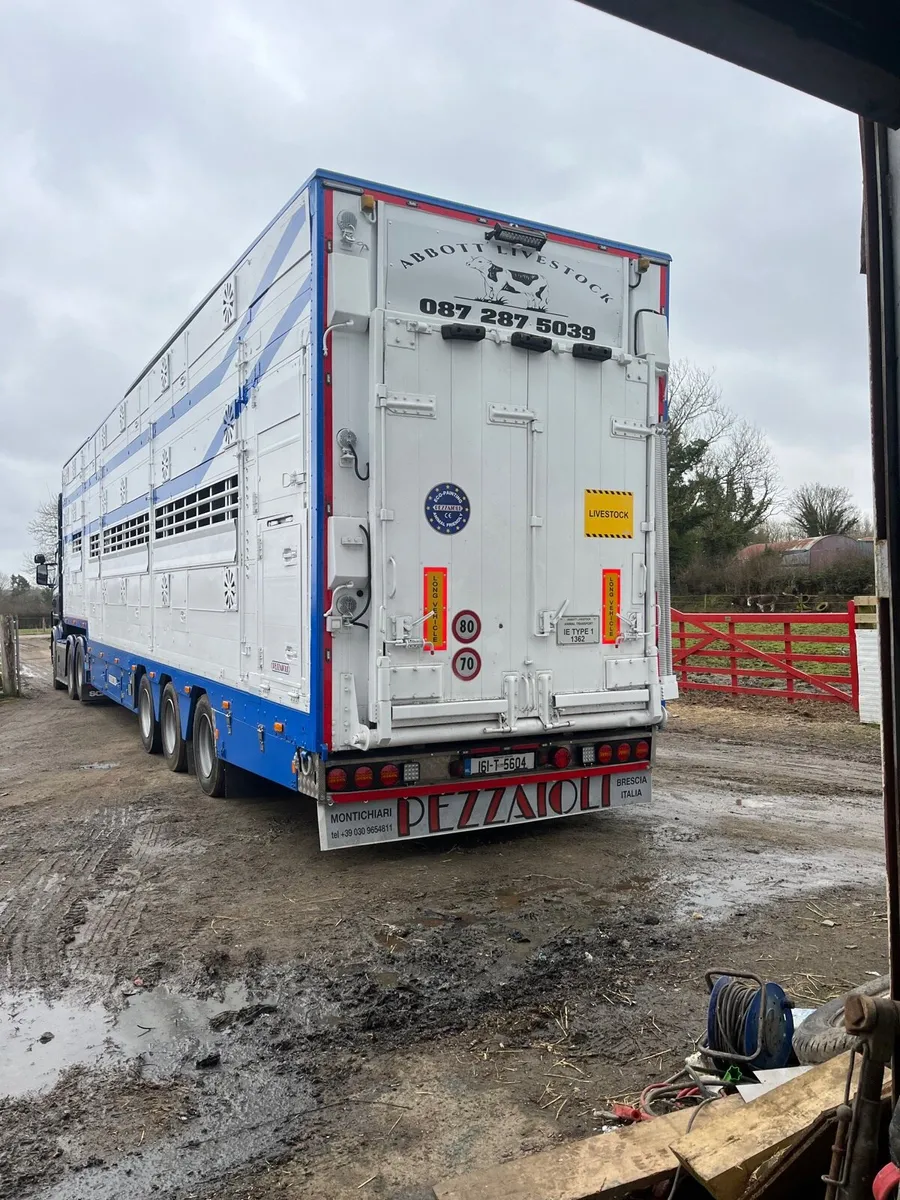 Abbott Livestock transport. - Image 1
