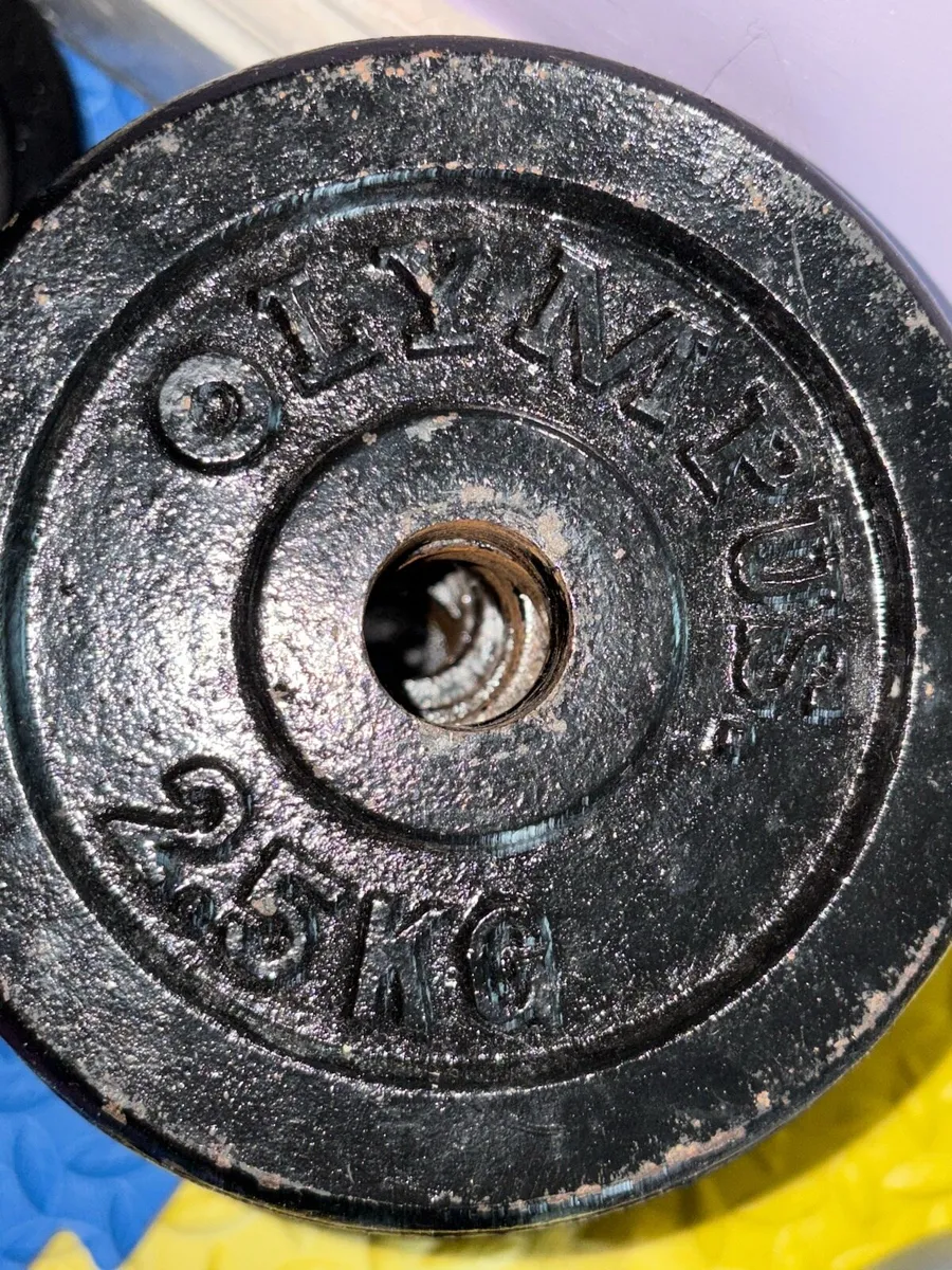Gym Equipment - Image 4