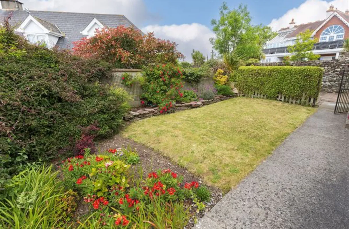 Established Privet Hedging