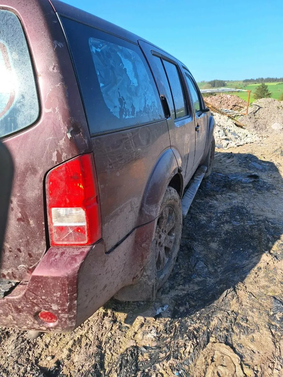 Nissan navara - Image 2