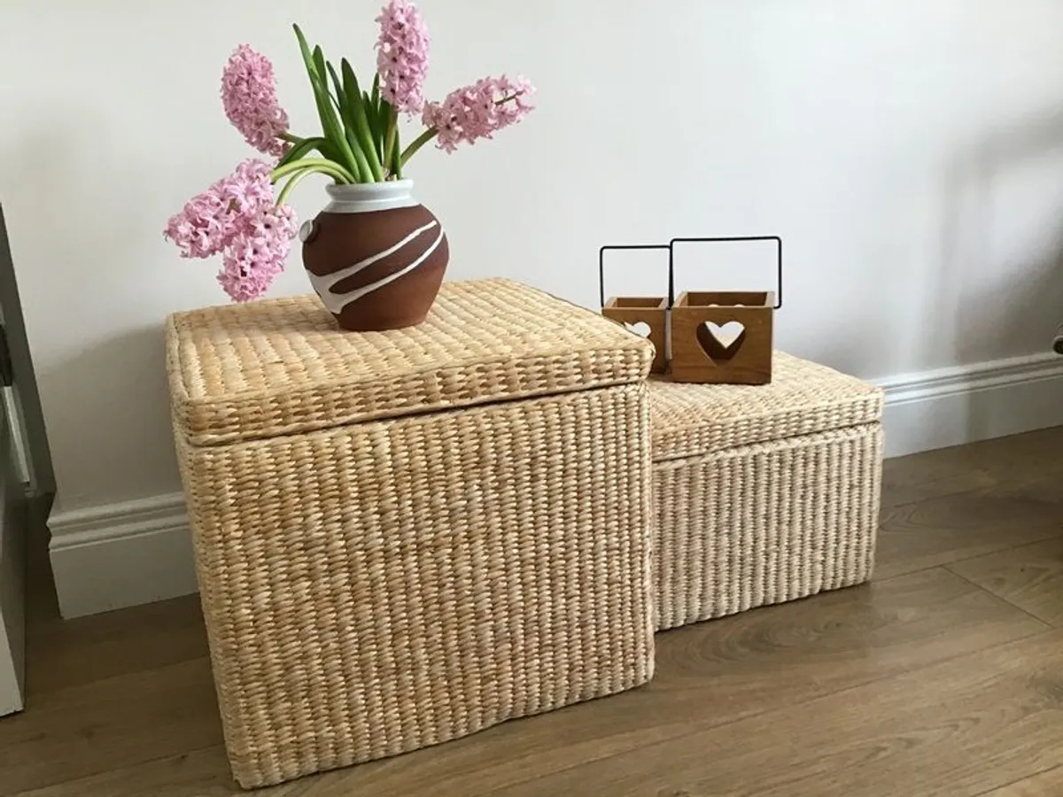Storage boxes/ coffee tables - Image 1