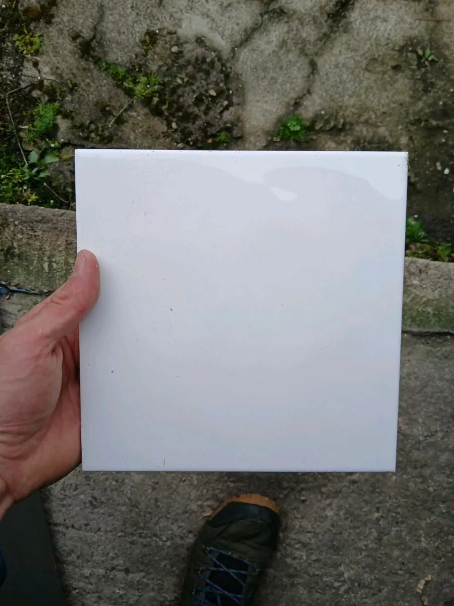 250 White tiles 25cm x 25cm