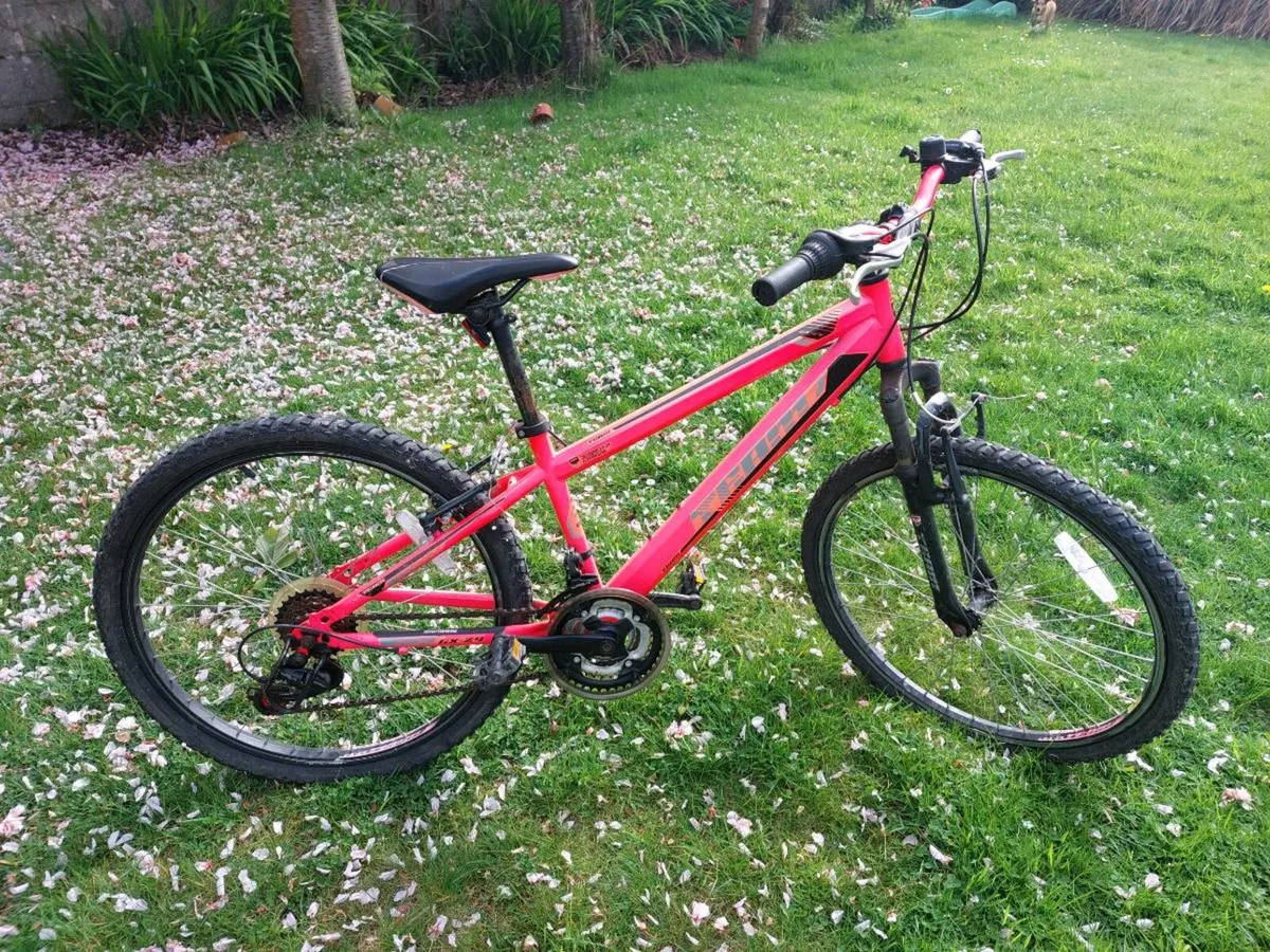 24 inch team FTB mountain bike - Image 1