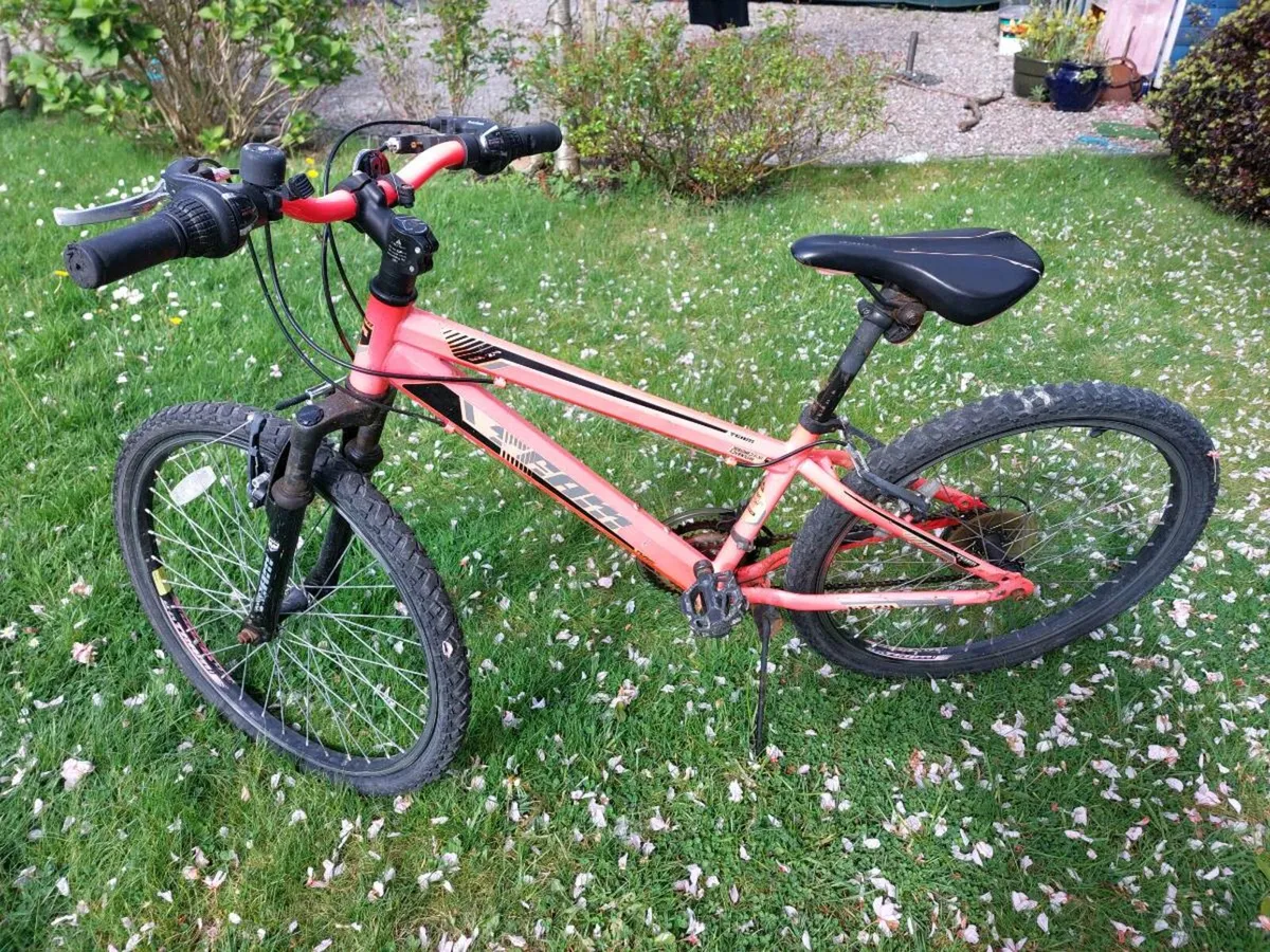 24 inch team FTB mountain bike - Image 2