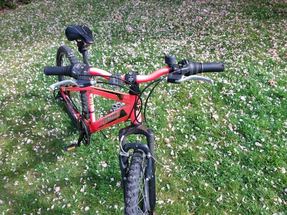 24 inch team FTB mountain bike - Image 3