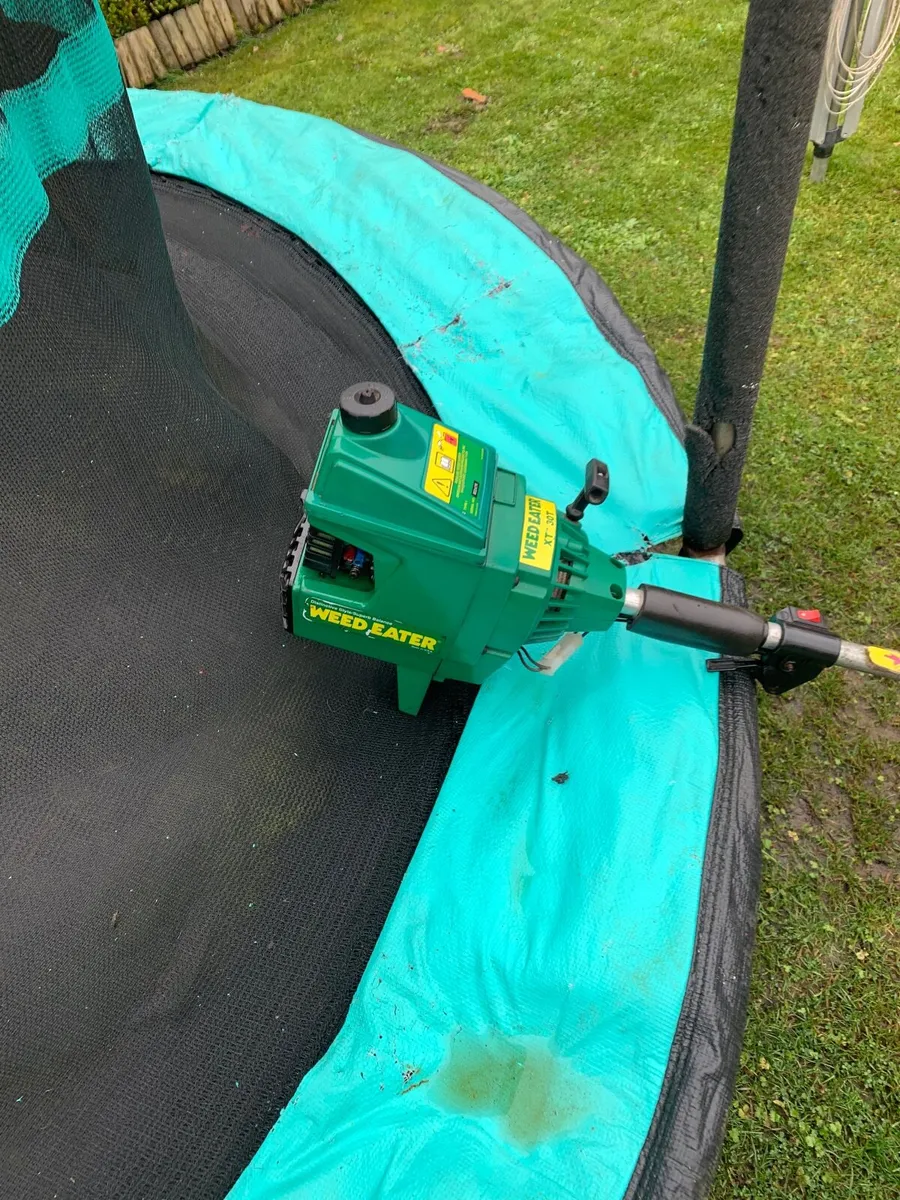 Strimmer - Image 2