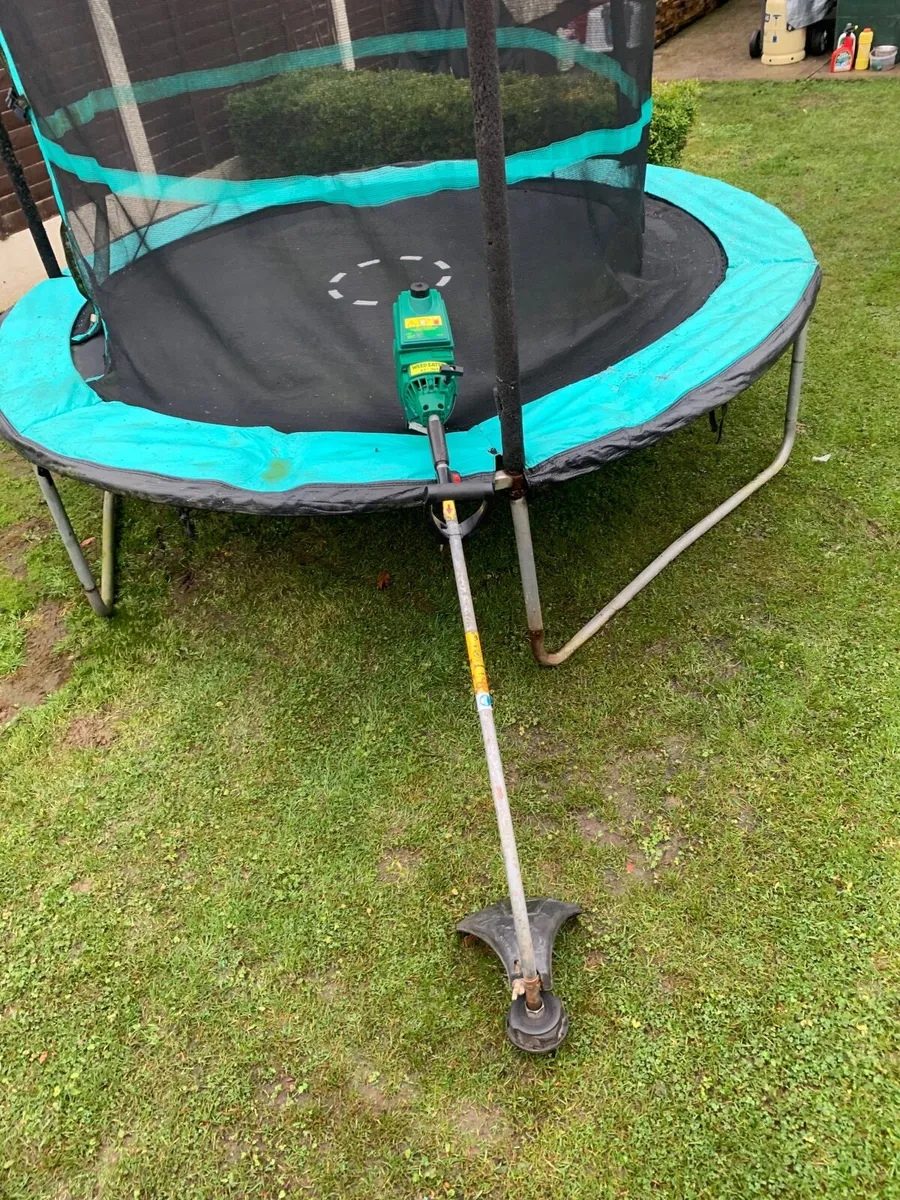 Strimmer - Image 3