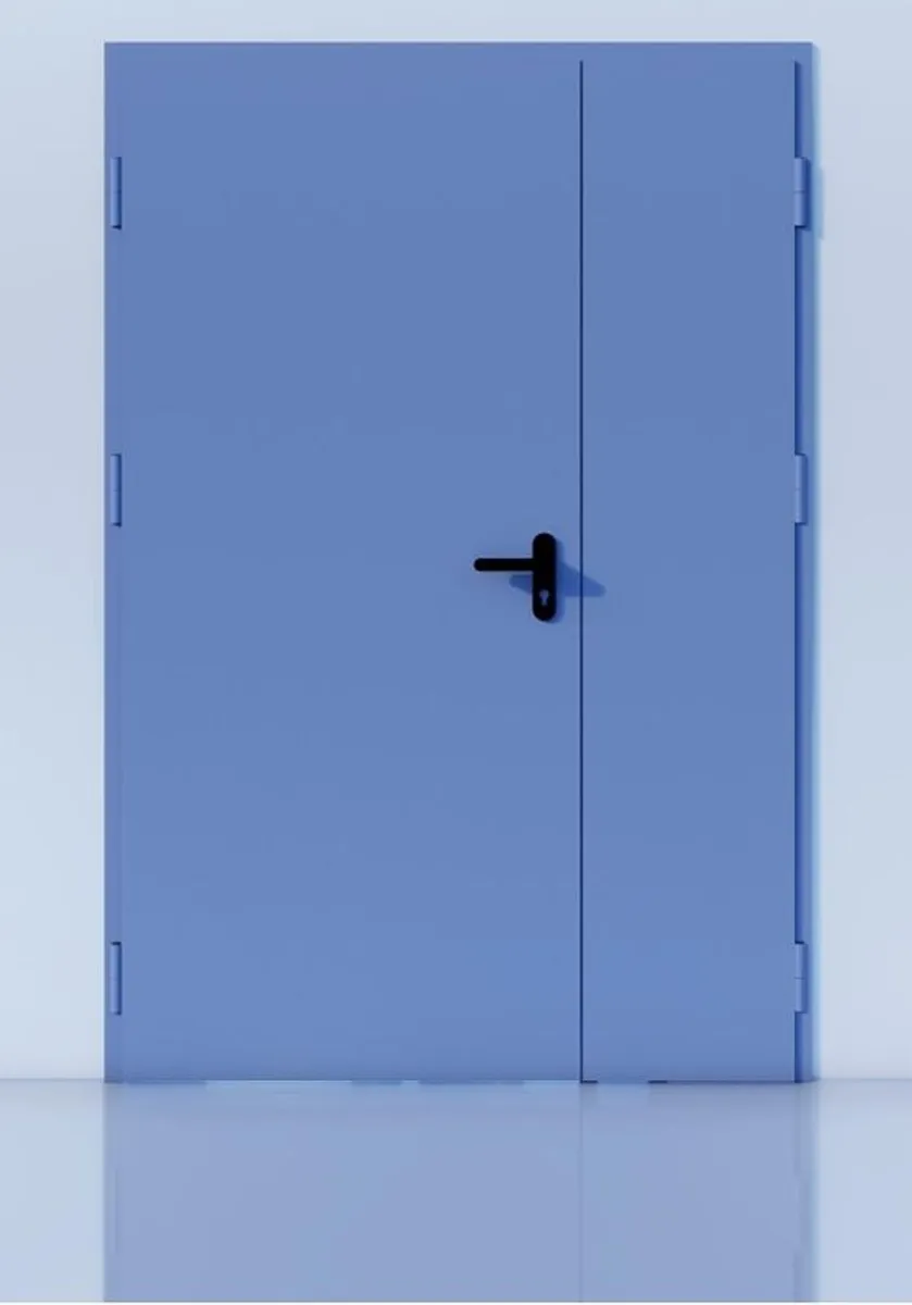 Steel Doors - Image 1