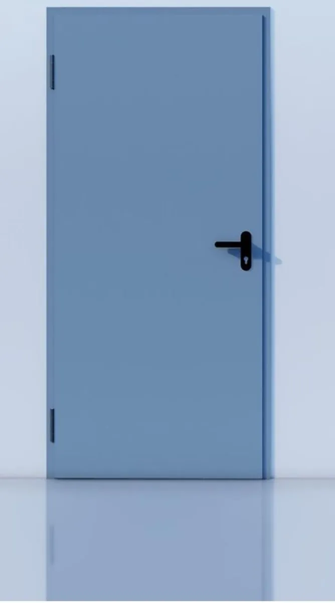 Steel Doors - Image 3