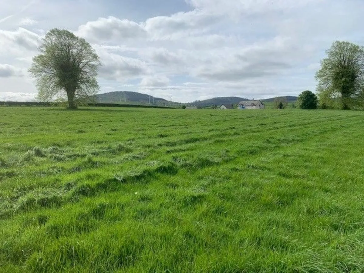1st cut silage only - Image 3