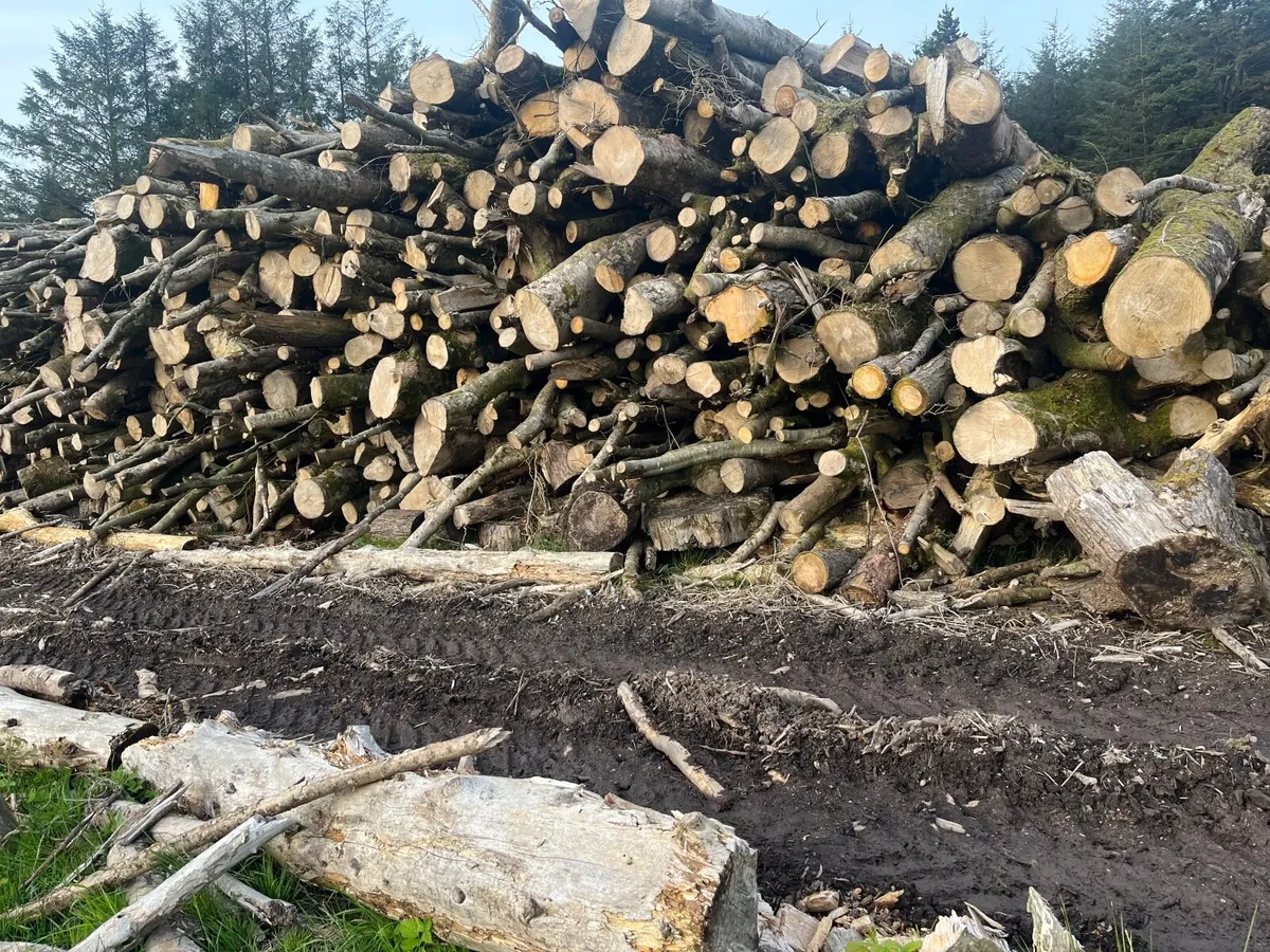 Milling logs - Image 4
