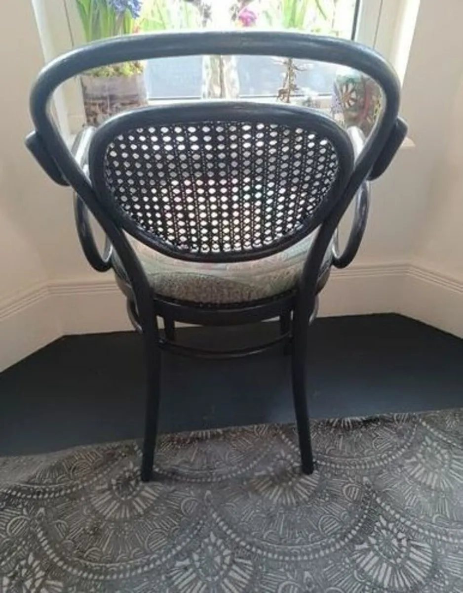 Bentwood Chair - Image 3