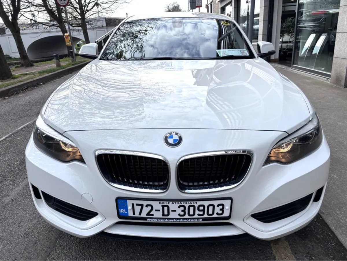 BMW 2 Series 218D Coupe SE Auto Leather 2DR - Image 3