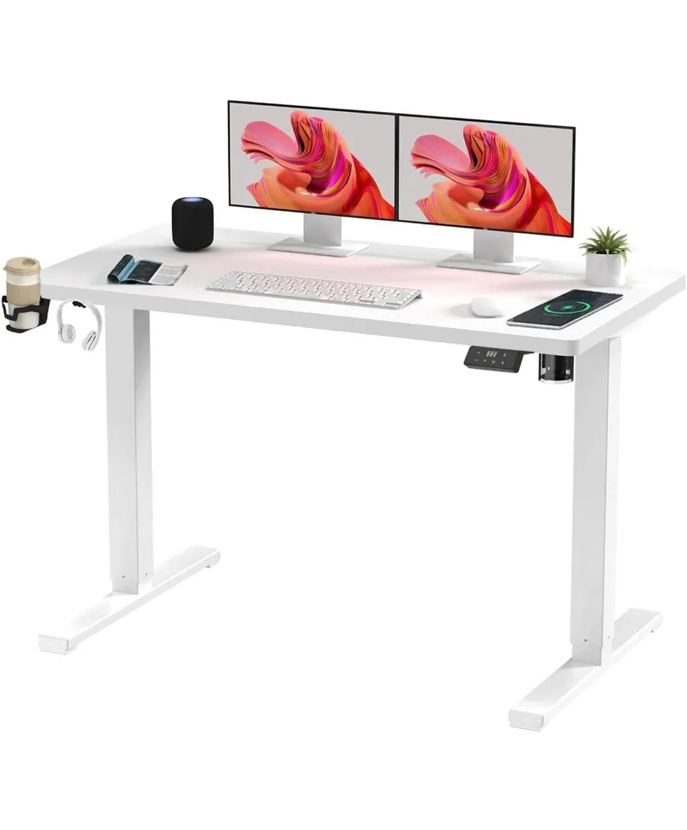 110 x 60 Electric Standing Desk ONE PIECE - Image 4