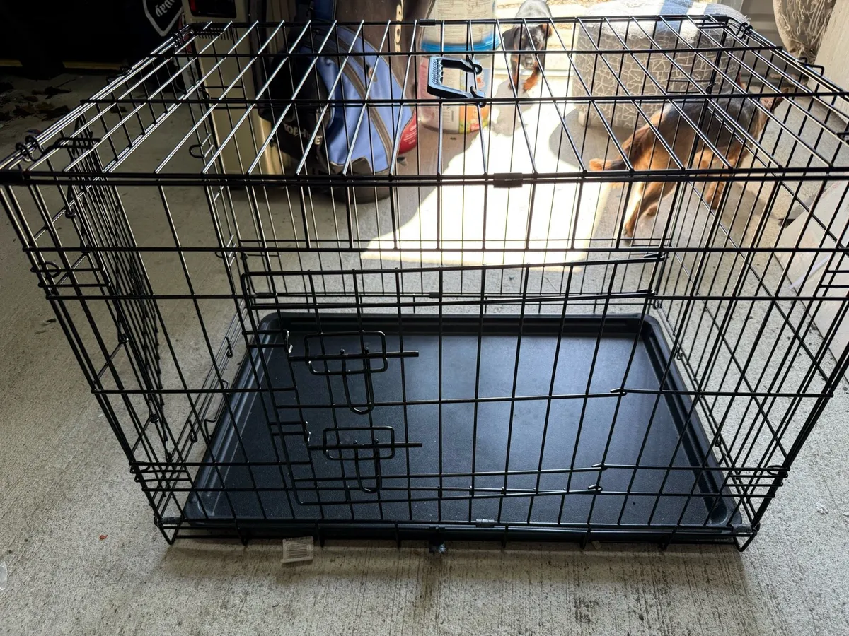 Dog Cage