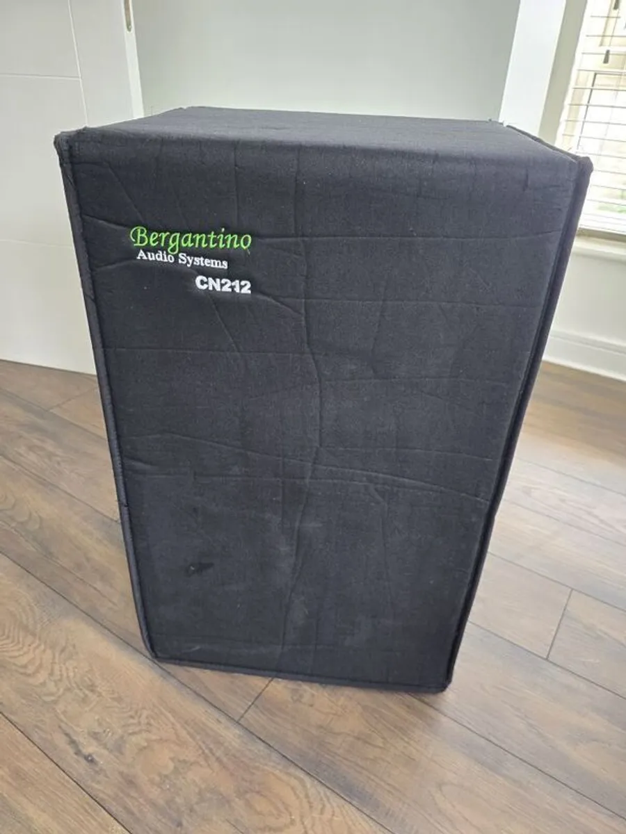 Bergantino Bass cabinet - Image 1