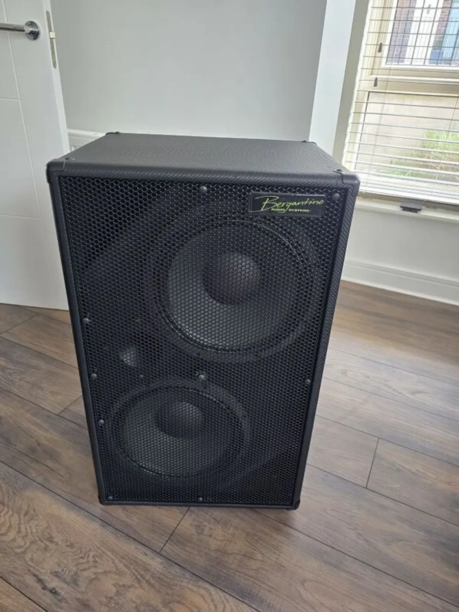 Bergantino Bass cabinet - Image 2