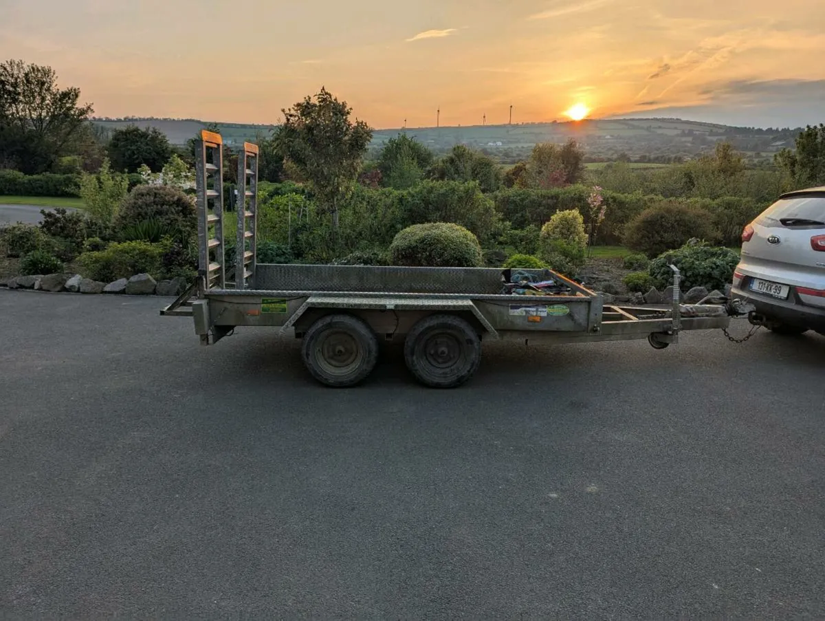Plant trailer 10x5 feet indespension - Image 1