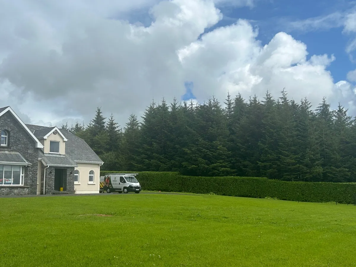 Hedge trimming - Image 1