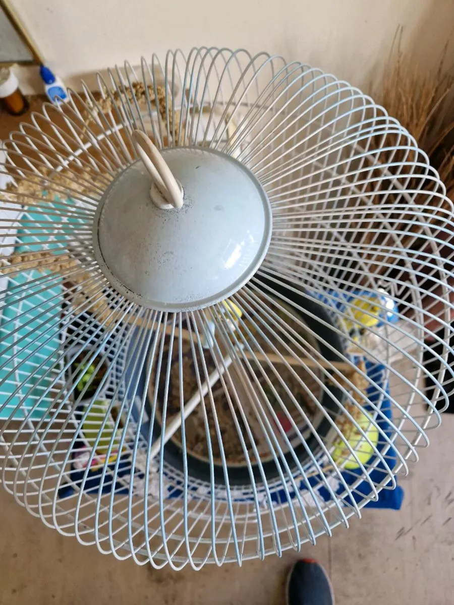 Bird   cage. - Image 4